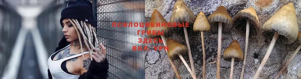 экстази Покачи