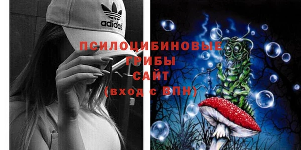стафф Армянск