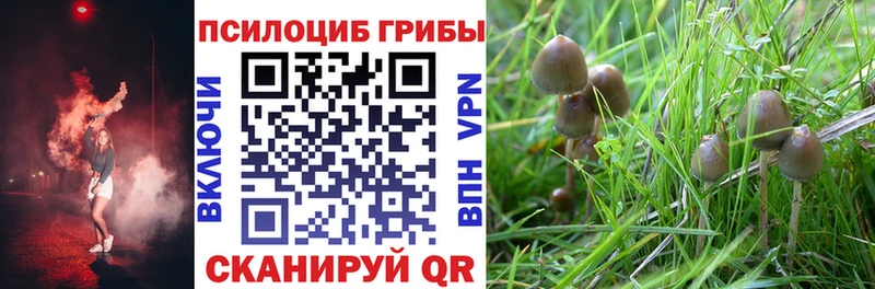 Псилоцибиновые грибы Magic Shrooms  Балей 